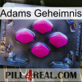 Adams Secret 02